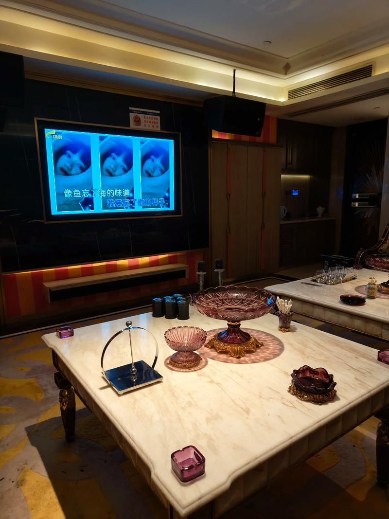 遵义商务ktv创新模式-桐梓县ktv预定